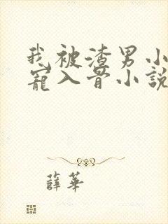 我被渣男小叔狂宠入骨小说全文阅读