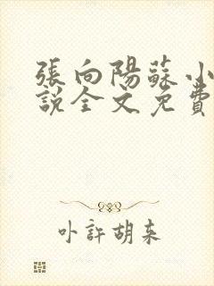 张向阳苏小棠小说全文免费阅读笔趣阁