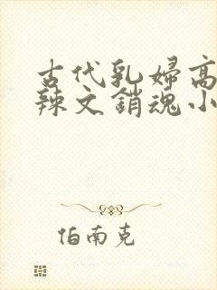 古代乳妇高h肉辣文销魂小妾
