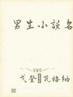 男生小说名字封面
