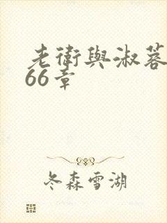 老卫与淑蓉全集66章封面
