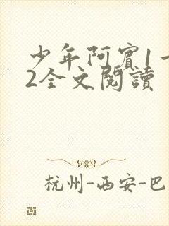 少年阿宾1一72全文阅读封面