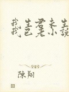 我生君未生君生我已老小说