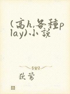 (高h,各种play)小说