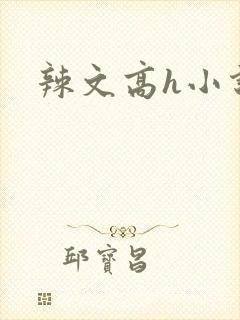 辣文高h小说