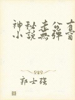 神秘老公有点坏小说无弹窗