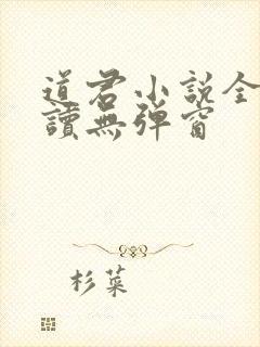 道君小说全文阅读无弹窗