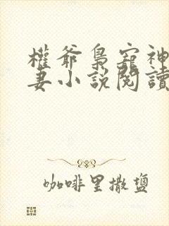 权爷枭宠神秘娇妻小说阅读