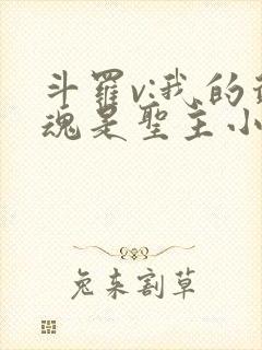 斗罗v:我的武魂是圣主小说完整封面