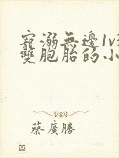 宠溺无边1v3双胞胎的小说
