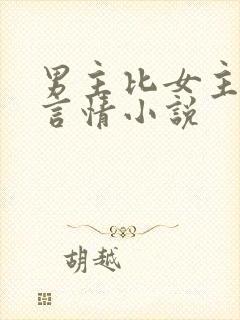 男主比女主大的言情小说封面