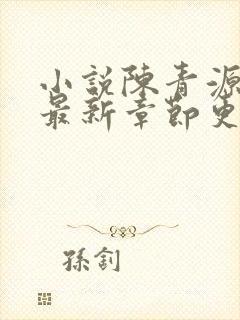 小说陈青源全文最新章节更新封面