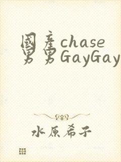 国产chase男男GayGay封面