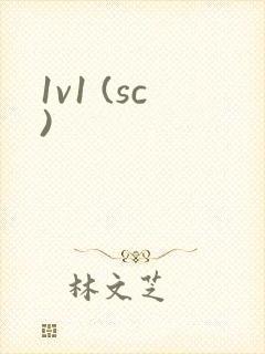1v1 (sc)封面