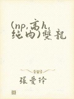 (np,高h,纯肉)双龙