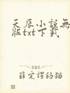 天辰小说无删减版txt下载封面