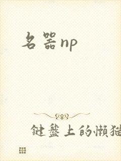 名器np封面