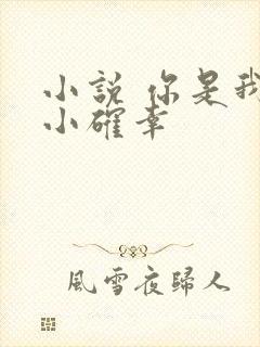 小说 你是我的小确幸