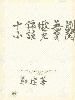 十锦缎无删原著小说免费阅读封面