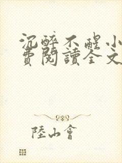 沉醉不醒小说免费阅读全文无弹窗