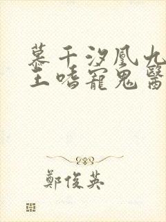 慕千汐凰九夜邪王嗜宠鬼医狂妃免费阅读