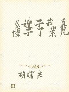 《嫂子我真不是傻子了叶凡》