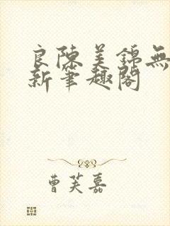 良陈美锦无删减新笔趣阁封面