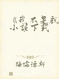 《我不是戏神》小说下载