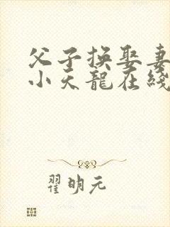 父子换娶妻小说小天龙在线阅读封面