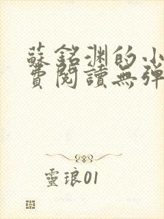 苏铭渊的小说免费阅读无弹窗