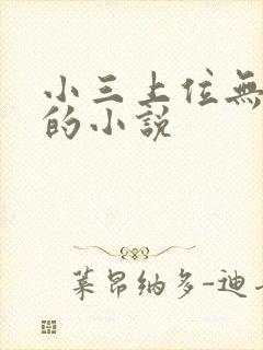 小三上位无三观的小说