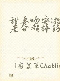 甜妻吻安:总裁老公超棒的全文免费阅读