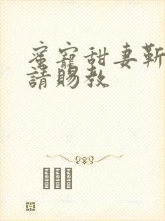 蜜宠甜妻靳先生请赐教封面