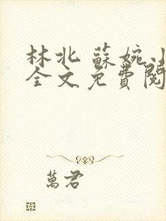 林北 苏婉小说全文免费阅读