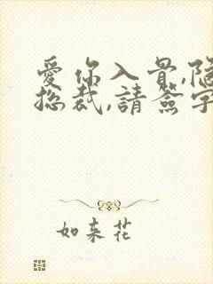 爱你入骨,隐婚总裁,请签字