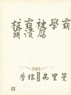 校霸被学霸玩到崩溃腐