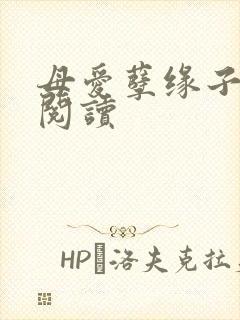 母爱孽缘子全文阅读封面