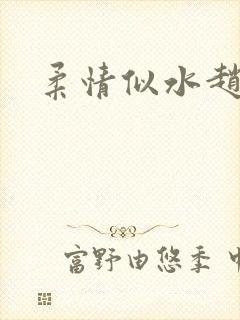 柔情似水赵雅儿