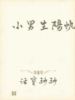 小男生阳帆封面
