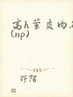 高h荤爽肉欲文(np)封面