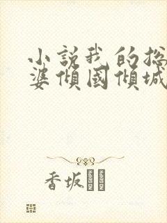 小说我的总裁老婆倾国倾城在线阅读
