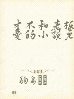 才不和老板谈恋爱的小说免费阅读封面