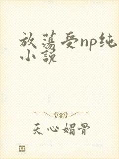 放荡受np纯肉小说封面