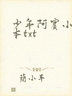 少年阿宾小说全本txt