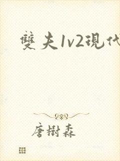 双夫1v2现代