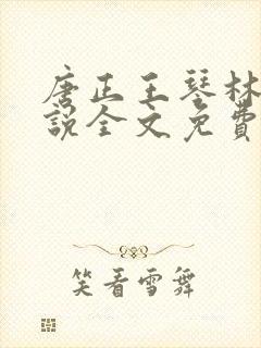 唐正王琴林媛小说全文免费阅读