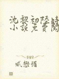 沈黎初陆时霁的小说免费阅读全文封面