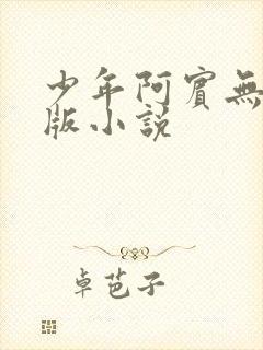 少年阿宾无删减版小说