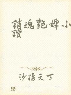 销魂艳婢小说阅读