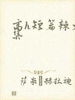 高h短篇辣文合集封面